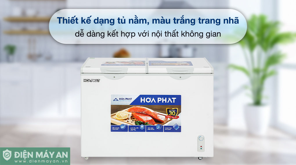 Tủ đông Hòa Phát 245 Lít HPF BD6245